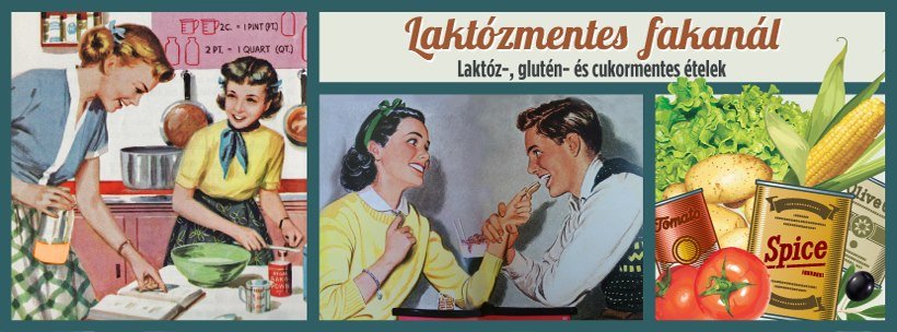 Laktózmentes fakanál